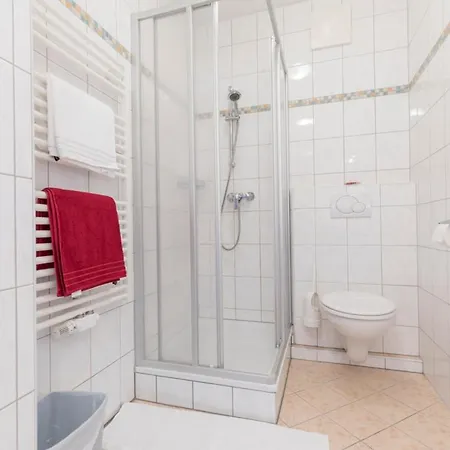 Casa de hóspedes Haus Roswitha Flachau