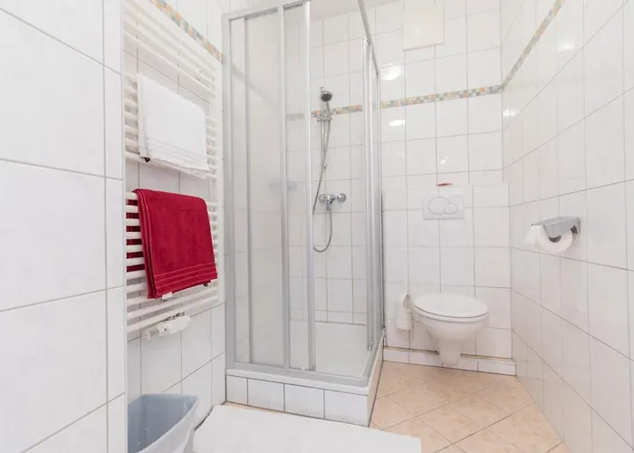 Affittacamere Haus Roswitha Flachau